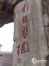 劉村梨園風景區