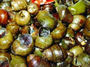 （圖）紫蘇炒田螺