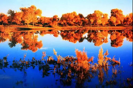 新疆最美8條自駕路線，有生之年爭取走一遍！