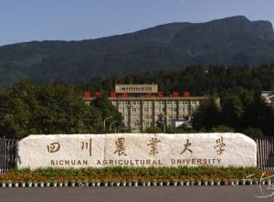四川農業大學