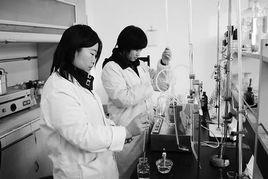 汽油檢測 汽油檢測