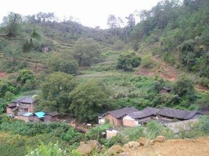 黃母牛箐自然村