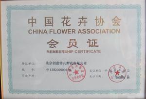 北京創意非凡鮮花有限公司 北京創意非凡鮮花有限公司