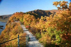滿天星國家森林公園
