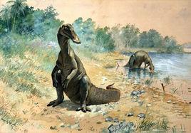 強龍[鴨嘴龍科恐龍]