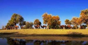 塔里木河與塔克拉瑪乾遊覽區 塔里木河與塔克拉瑪乾遊覽區