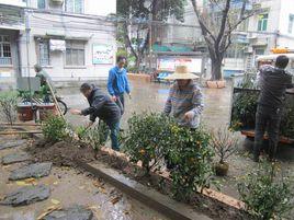 南華西街道 南華西街道