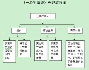 一胎辦理流程