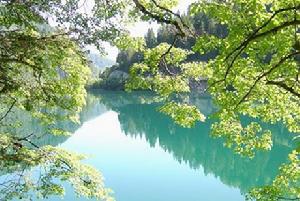 西嶺國家森林公園 西嶺國家森林公園