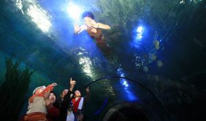 新疆盛貝特海洋館 新疆盛貝特海洋館