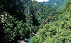 桂林龍勝溫泉國家森林公園 桂林龍勝溫泉國家森林公園
