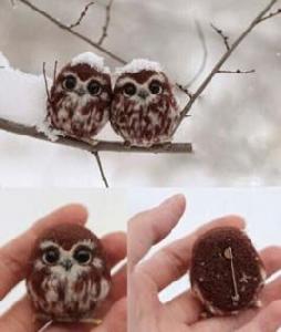 五行屬二 五行屬二