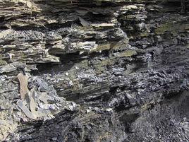煤系地層 煤系地層