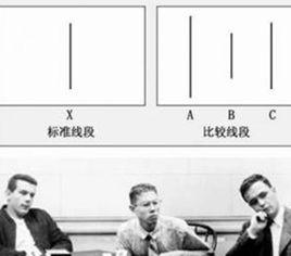 從眾實驗 從眾實驗