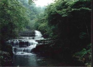 大沙河自然保護區