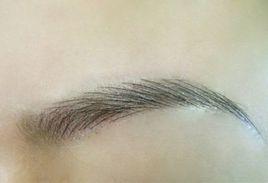 藝術種眉 藝術種眉