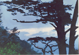 板橋自然保護區