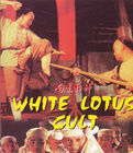 晚清風云：白蓮邪神