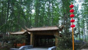 上莊蘑菇園 上莊蘑菇園