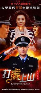 打虎上山[2015年唐國強、杜志國主演的反腐劇]
