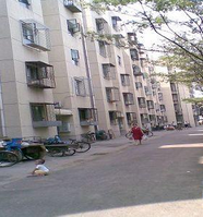 新居西里 新居西里