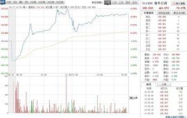 單位淨值 單位淨值