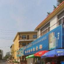 青年公園街道 青年公園街道