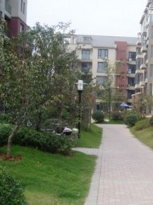 東郊小鎮 東郊小鎮