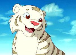 白虎[動畫小虎還鄉中老虎品種]