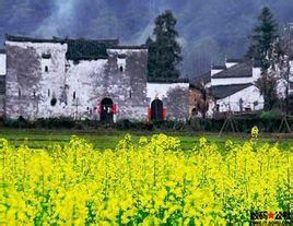 湍灣東街村 湍灣東街村