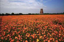 浙江玉環漩門灣國家濕地公園