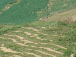 整康自然村 整康自然村