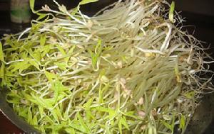 黃瓜拌綠豆芽 黃瓜拌綠豆芽