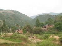 白櫟棵村 白櫟棵村