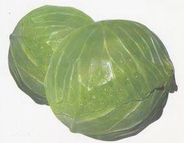 萊菔硫烷 萊菔硫烷