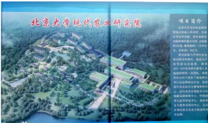 北京大學現代農業研究院