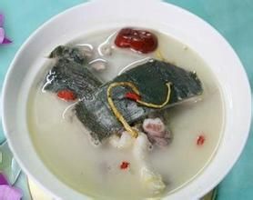 肝菌甲魚湯 肝菌甲魚湯