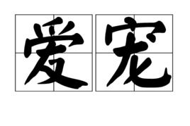愛寵[語言，詞語]