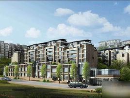 業安半山公館 業安半山公館