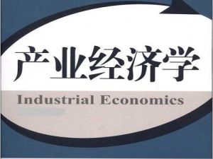 產業組織 產業組織