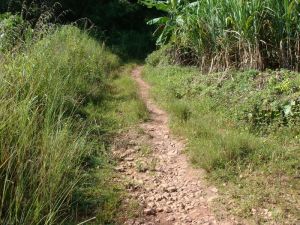 裕康自然村 裕康自然村