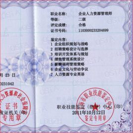 二級人力資源管理師 二級人力資源管理師