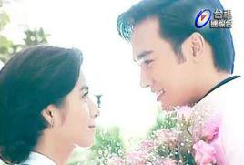 花開花落[1996年沈怡執導電視劇]