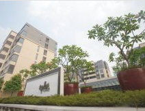 嶺南天地實景圖