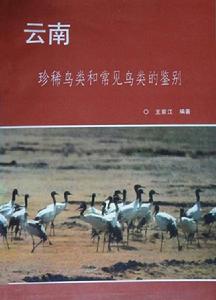 雲南珍稀鳥類和常見鳥類的鑑別 雲南珍稀鳥類和常見鳥類的鑑別