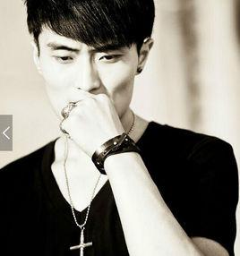 高登[內地演員、歌手]