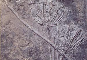 貴州地質博物館