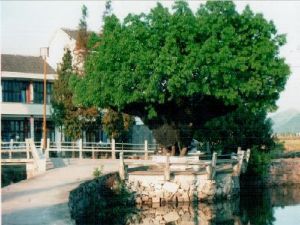 萬橋一村 萬橋一村