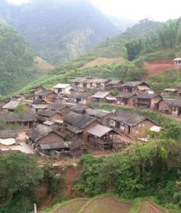 勐底自然村 勐底自然村