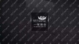 大連一笙實業有限公司 大連一笙實業有限公司